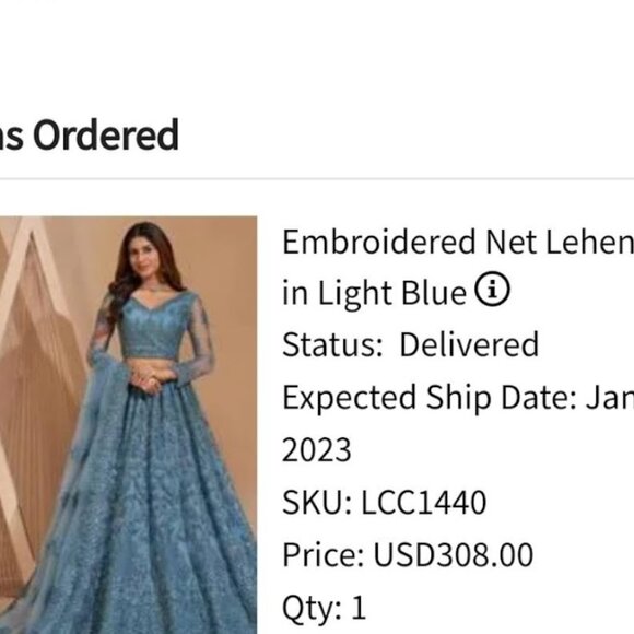 Embroidered Net Lehenga in Light Blue